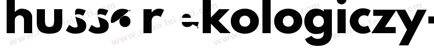 hussar ekologiczy字体转换